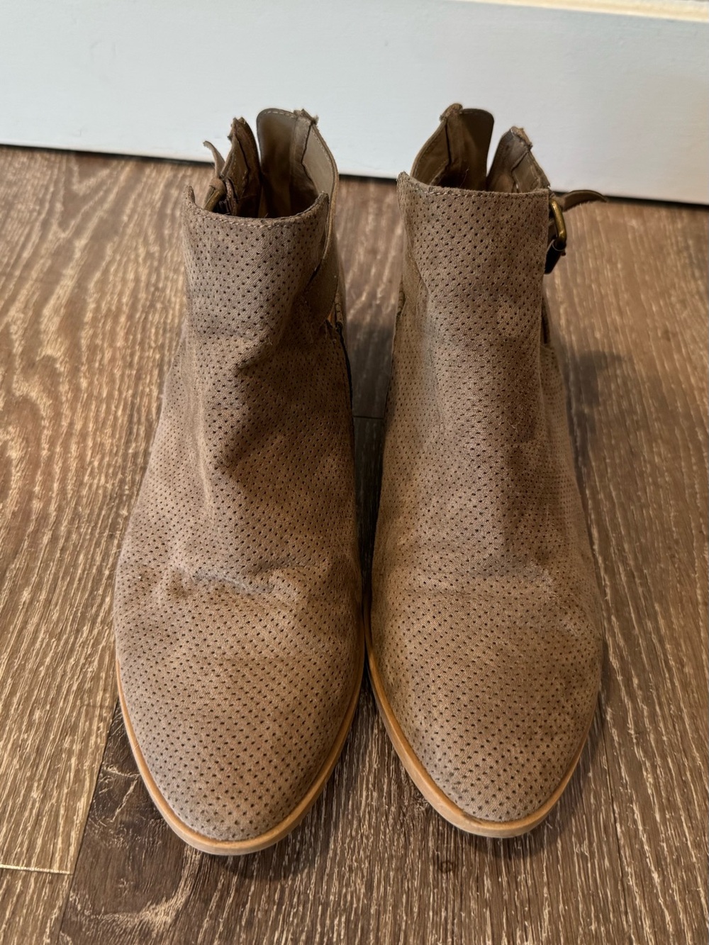 DV by Dolce Vita Women's Perforated Suede Ankle Booties - Taupe Brown